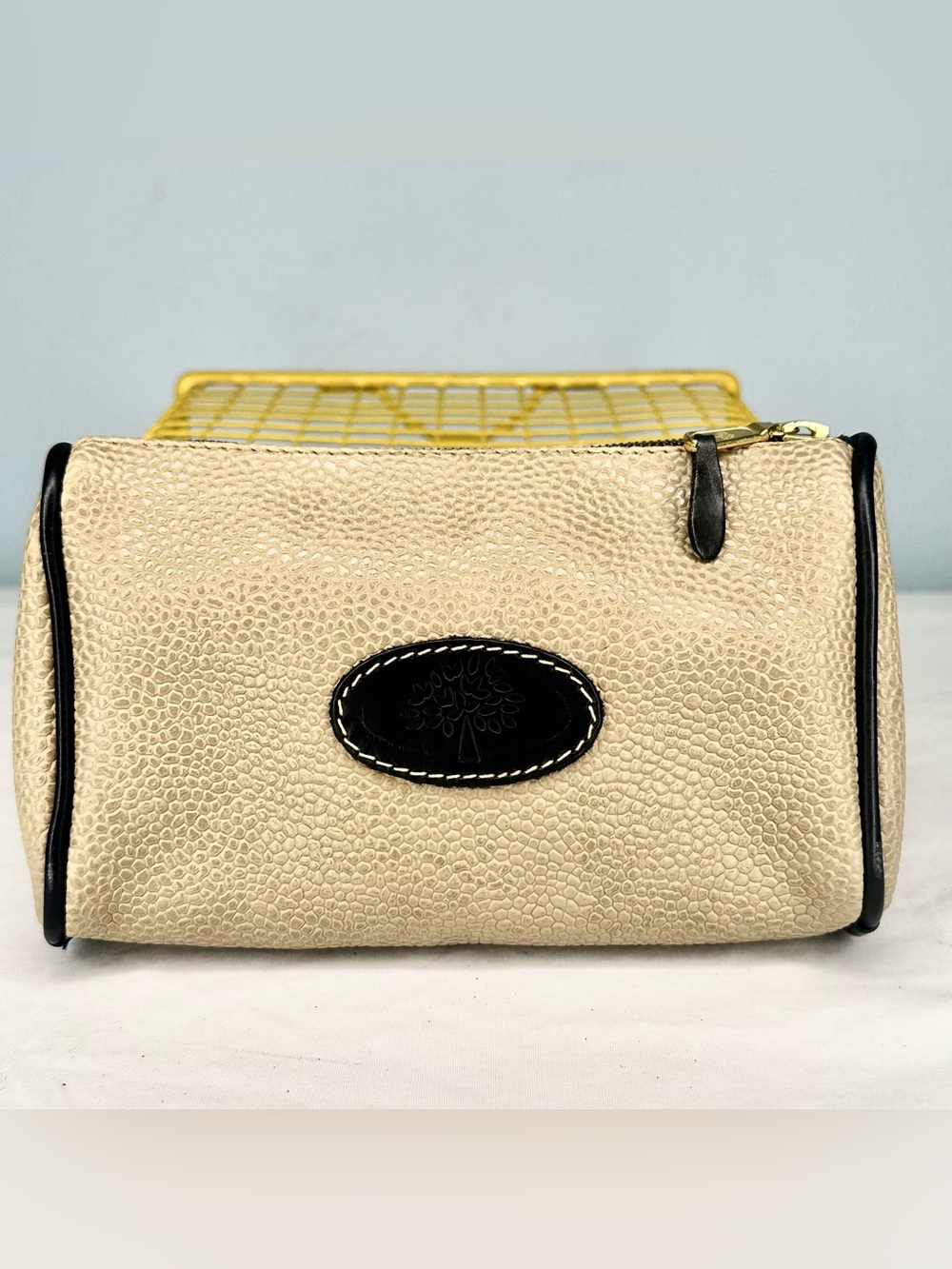 Mulberry Canvas and Leather Women's Zip Pouch